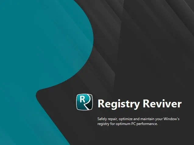 Registry-Reviver